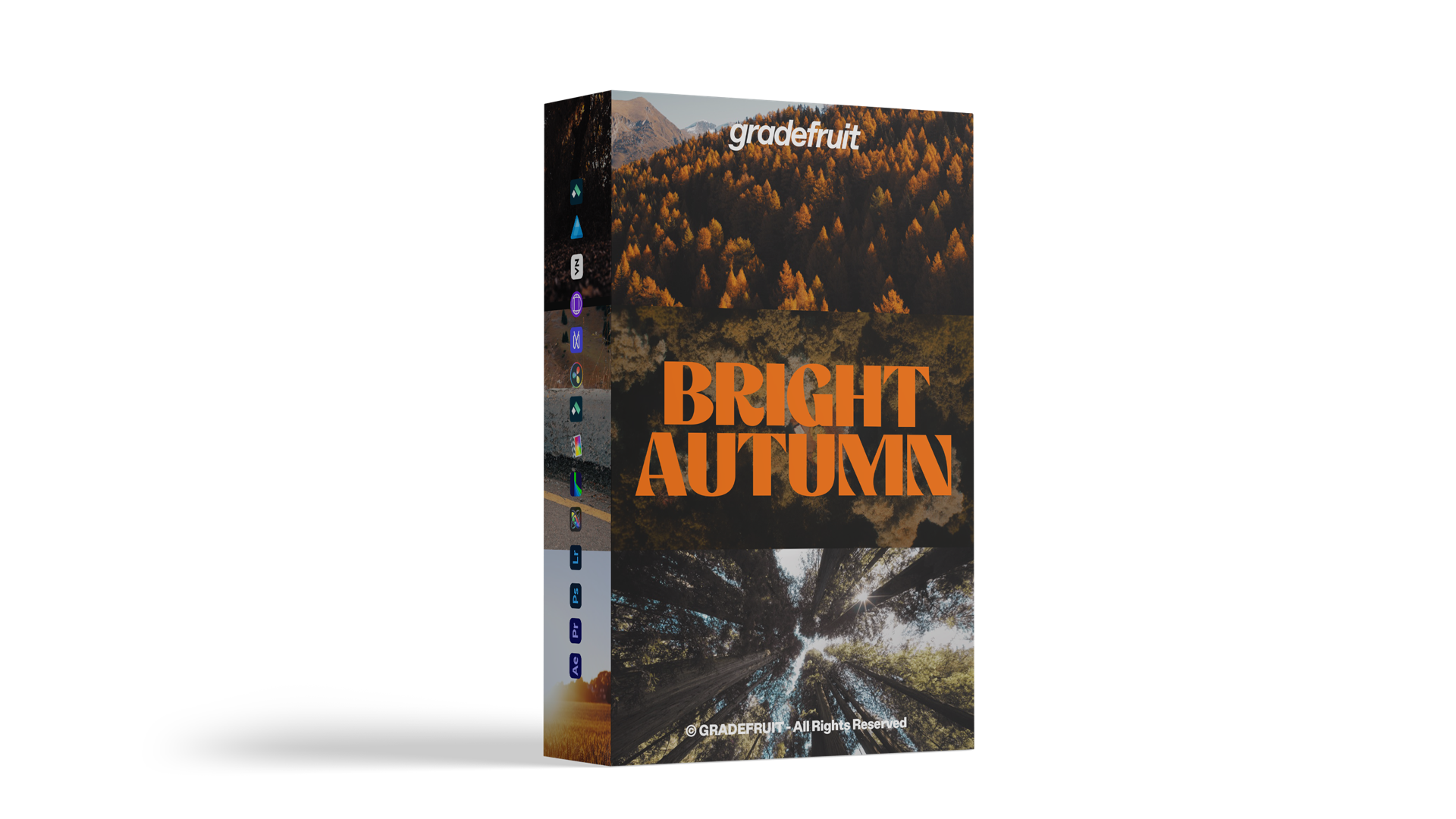 Bright Autumn