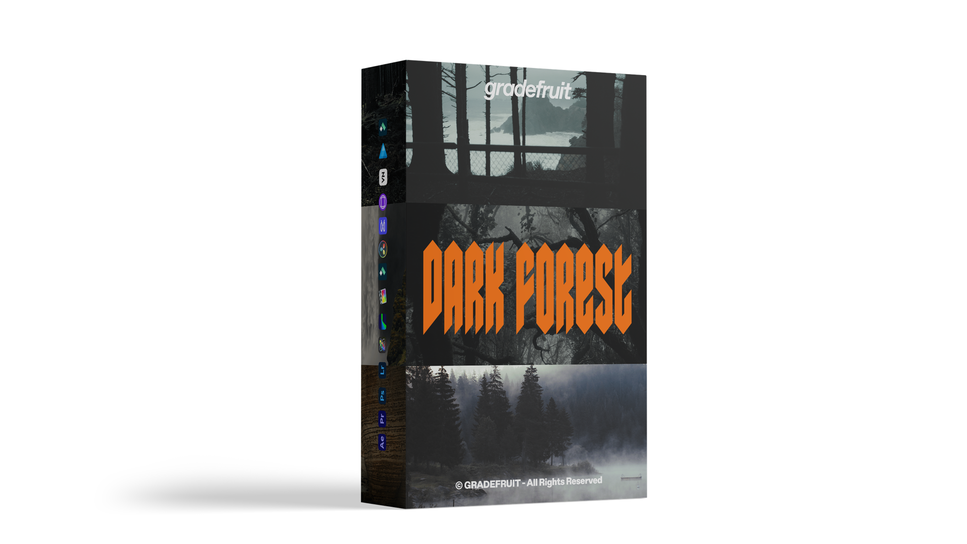 Dark Forest